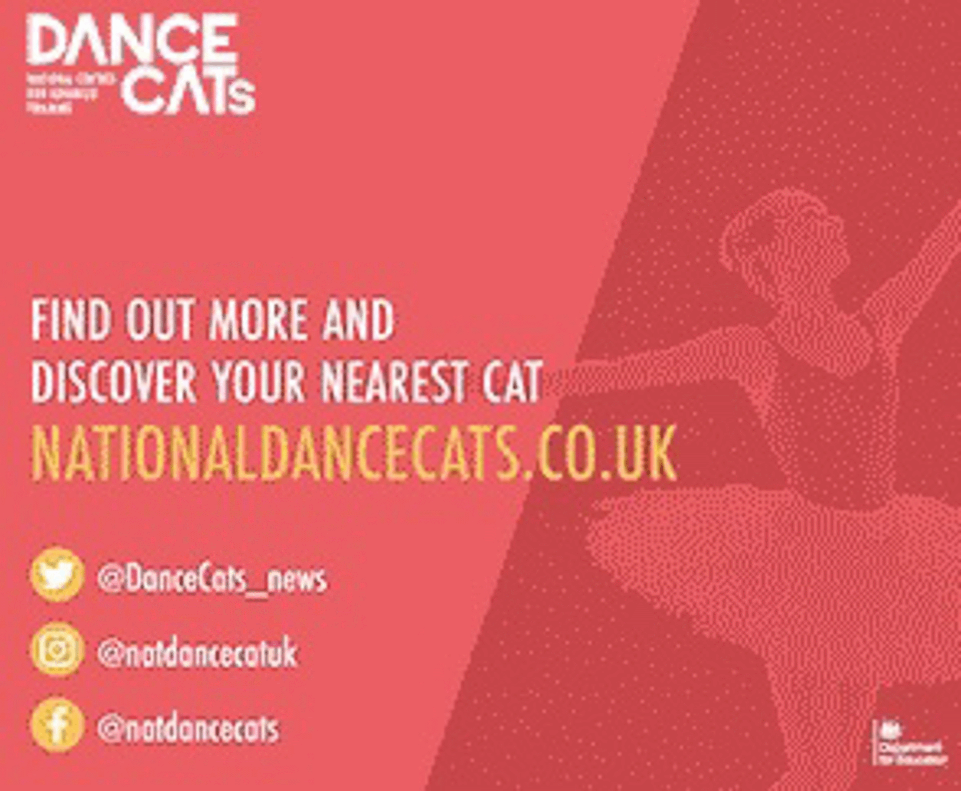 https://www.nationaldancecats.co.uk/