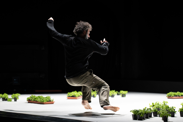 Dance Umbrella announces the London Premiere of Dance is Not for Us by Cie Omar Rajeh & Maqamat