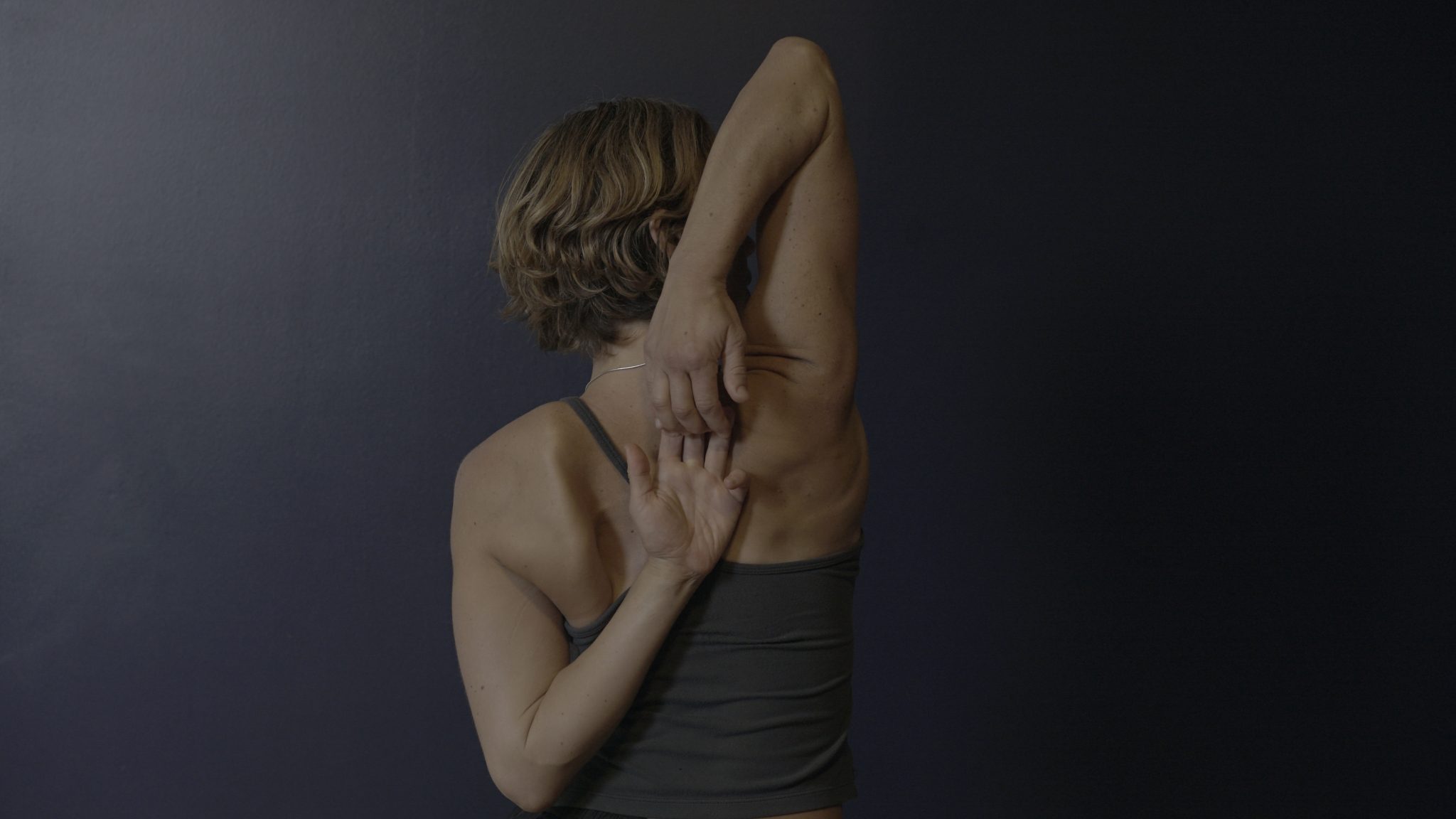 Holistic Approaches to Movement Health in Professional Practice Holistic Approaches to Movement Health in Professional Practice