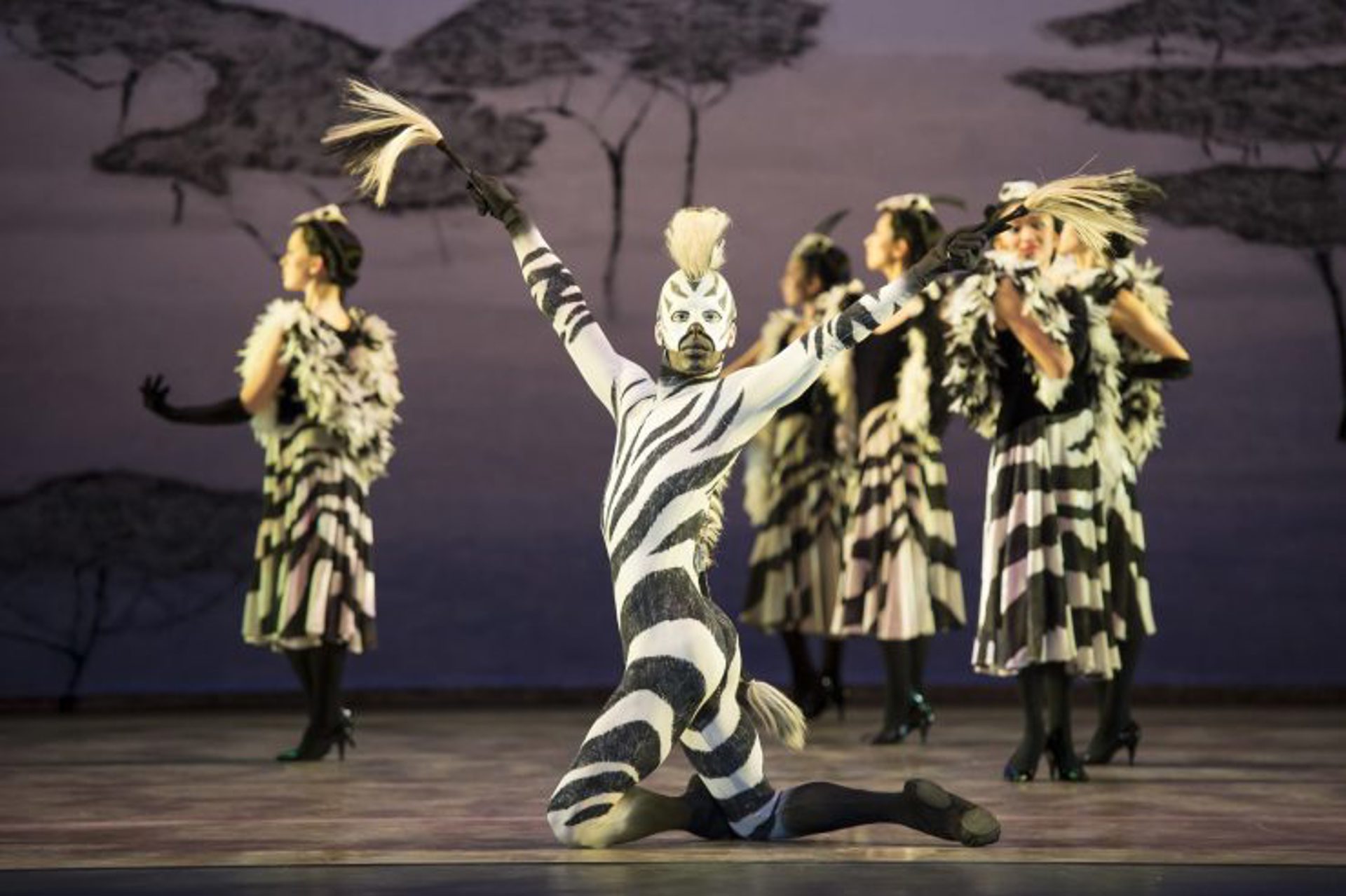 dancers on stage, one central dancer dressed as a zebra kneeled on the floor with arms stretched wide looking at the camera. The backdrop of the southern cape with trees.