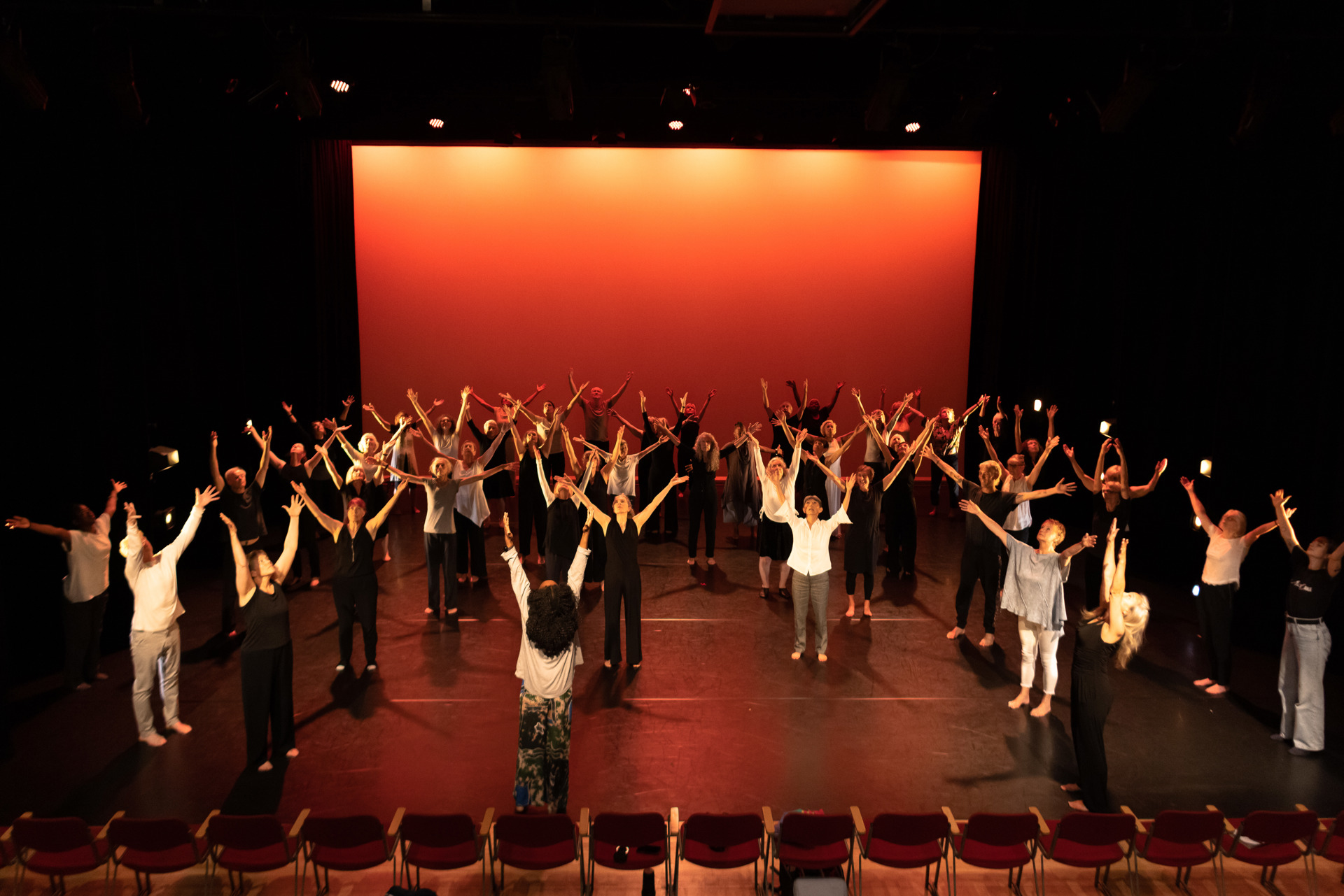 Image credit: Roswitha Chesher Image credit: Roswitha Chesher