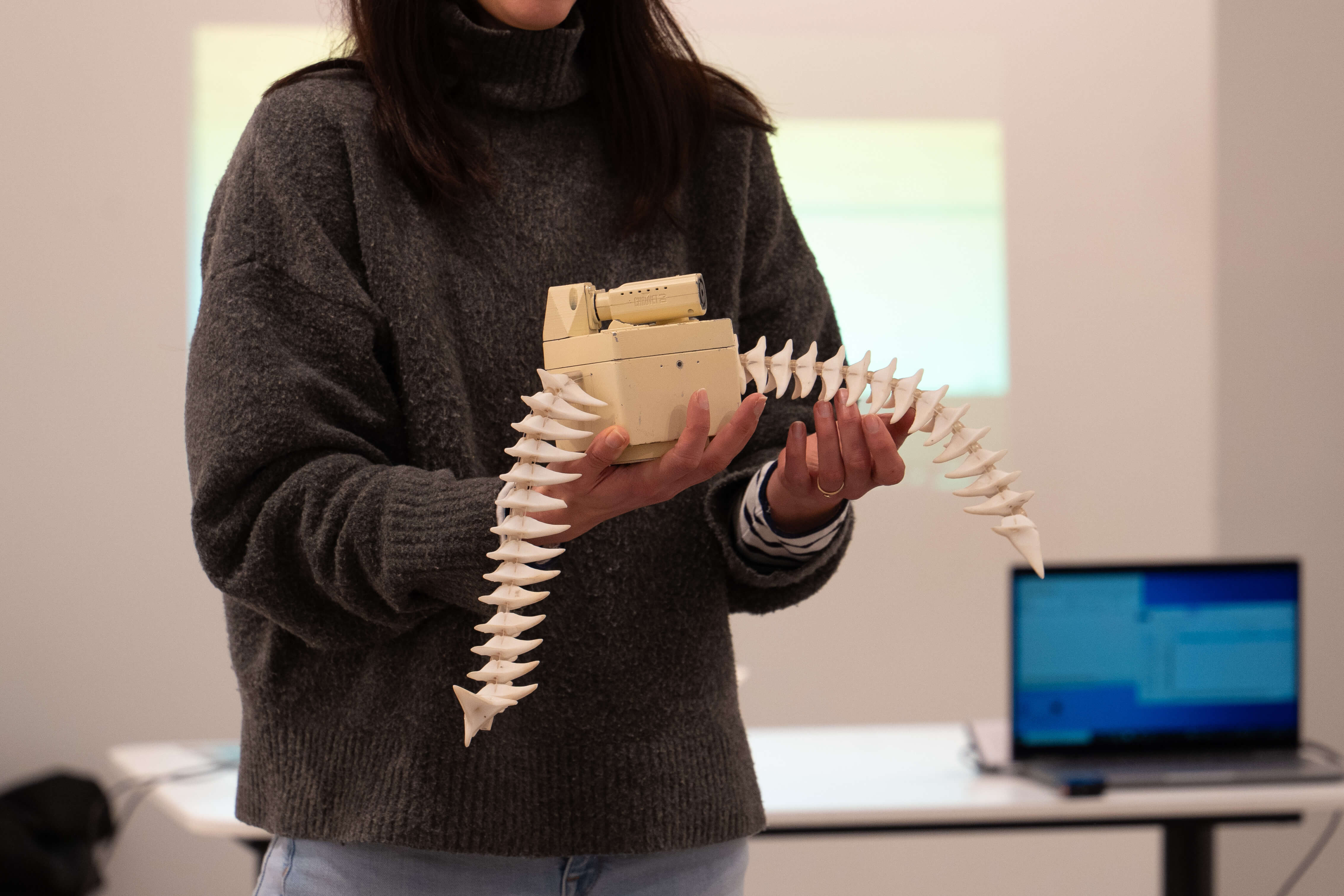 Supporting image for the article