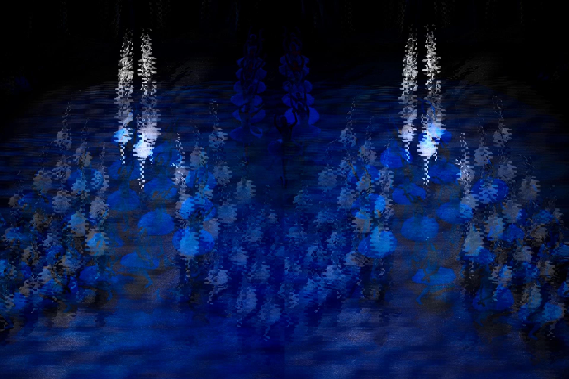 English National Ballet dancers in Derek Deane’s Swan Lake in-the-round © Ian Gavan English National Ballet dancers in Derek Deane’s Swan Lake in-the-round © Ian Gavan