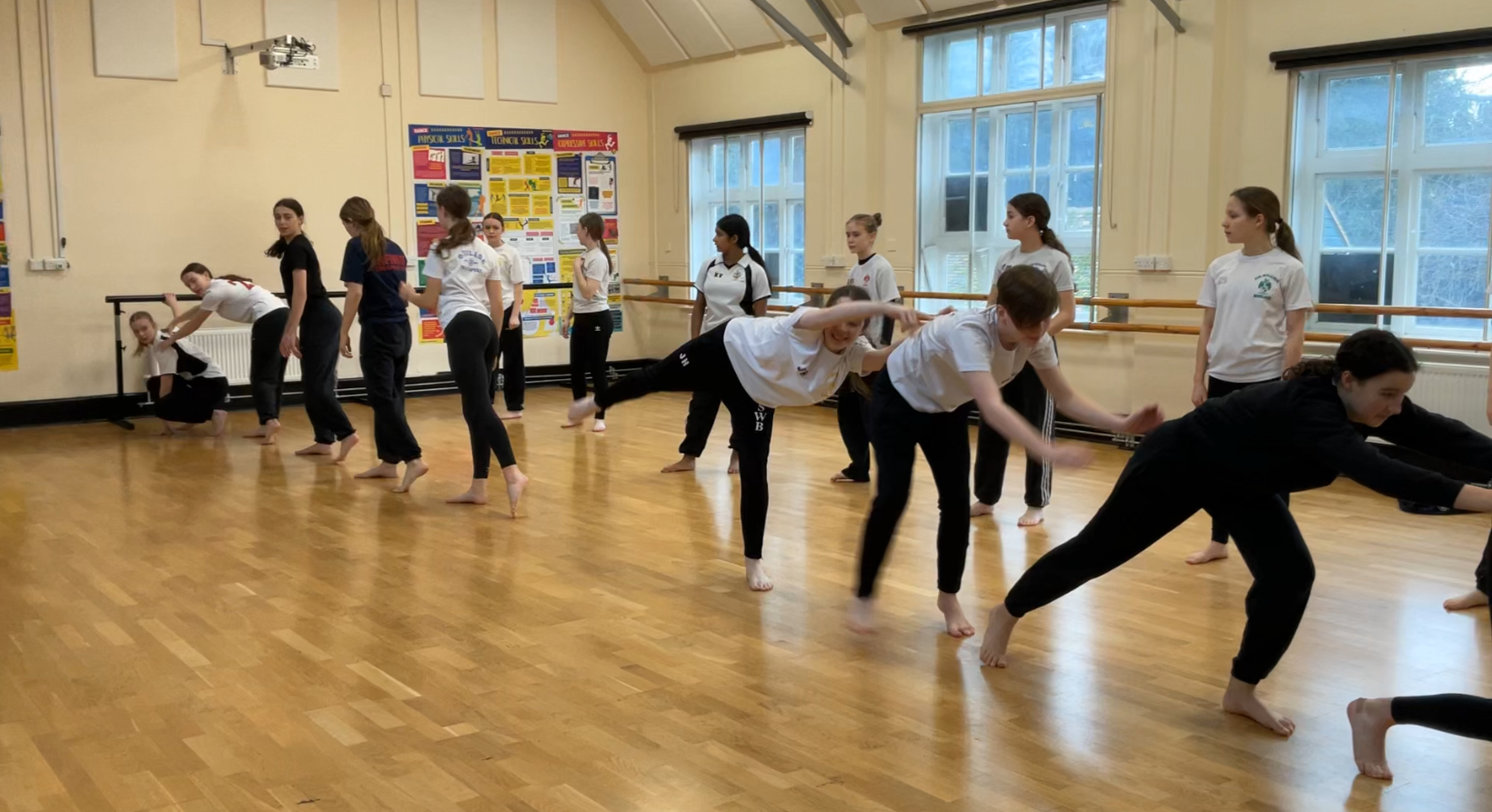 Exploring behaviour in dance lessons