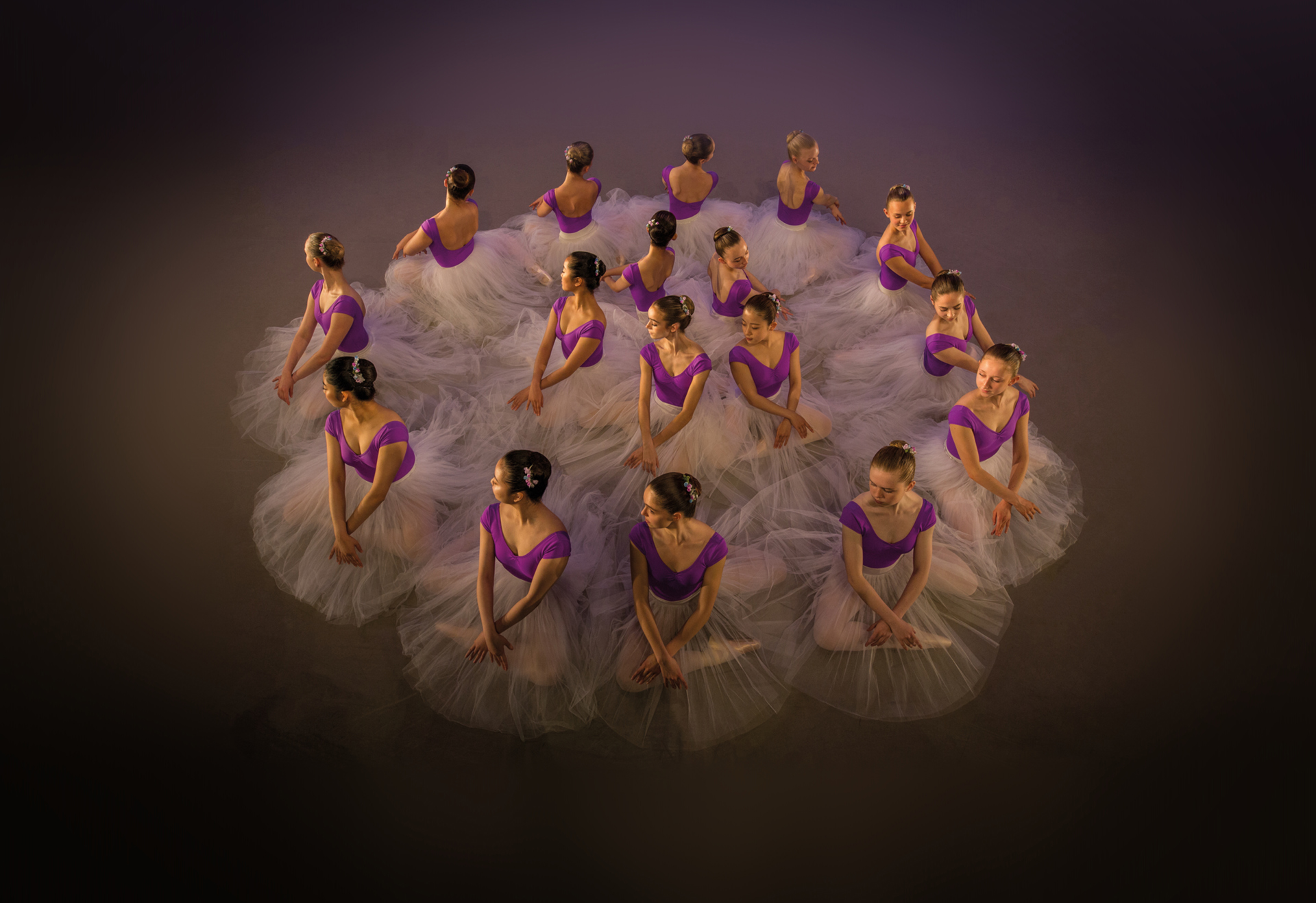 seventeen female sitting dancers with hands over kneed wearing purple leotards and large white tutus in two circles seventeen female sitting dancers with hands over kneed wearing purple leotards and large white tutus in two circles